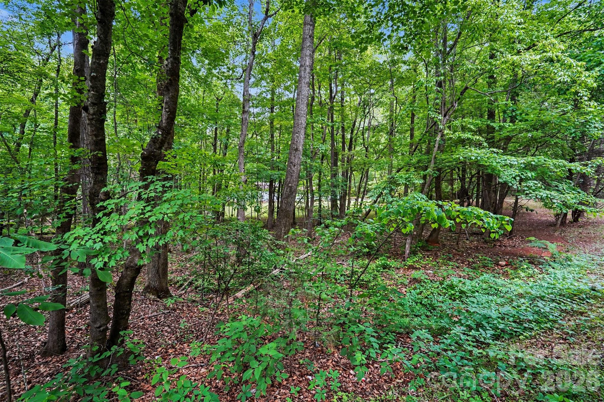 1116 Billy Howey Road Waxhaw NC 28173