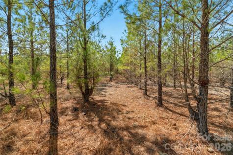 931 Charlie Johnson Road Kershaw SC 29067