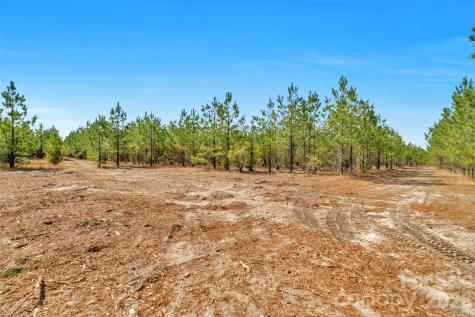 931 Charlie Johnson Road Kershaw SC 29067