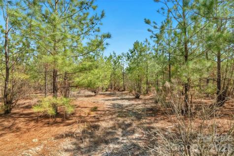 931 Charlie Johnson Road Kershaw SC 29067