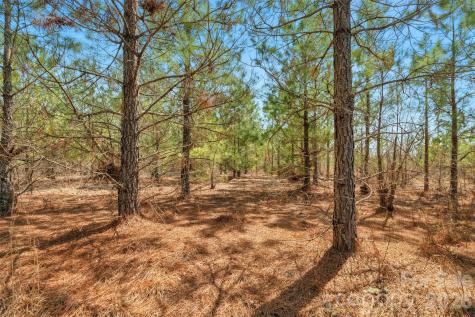 931 Charlie Johnson Road Kershaw SC 29067