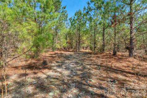 931 Charlie Johnson Road Kershaw SC 29067