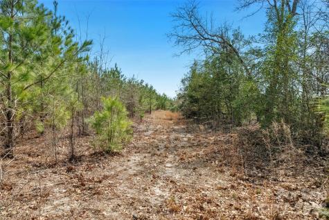 931 Charlie Johnson Road Kershaw SC 29067