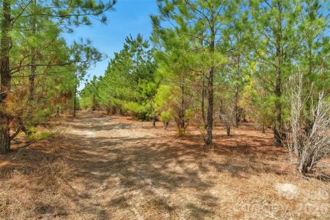 931 Charlie Johnson Road Kershaw SC 29067