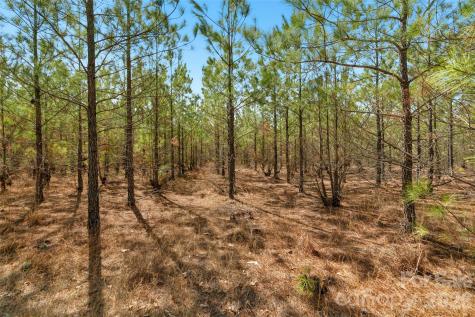 931 Charlie Johnson Road Kershaw SC 29067
