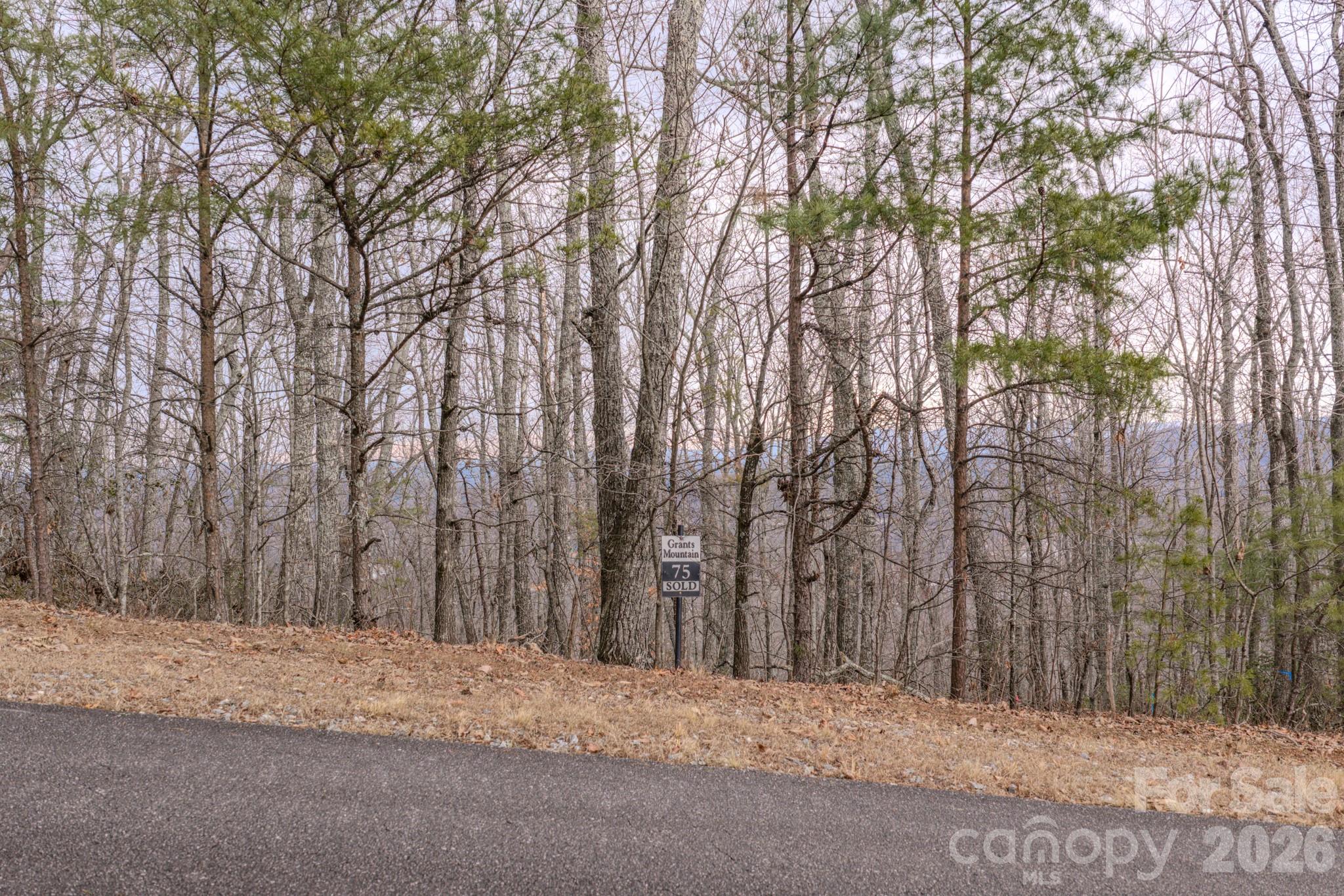 2724 Mountain Crest Drive S Marion NC 28752