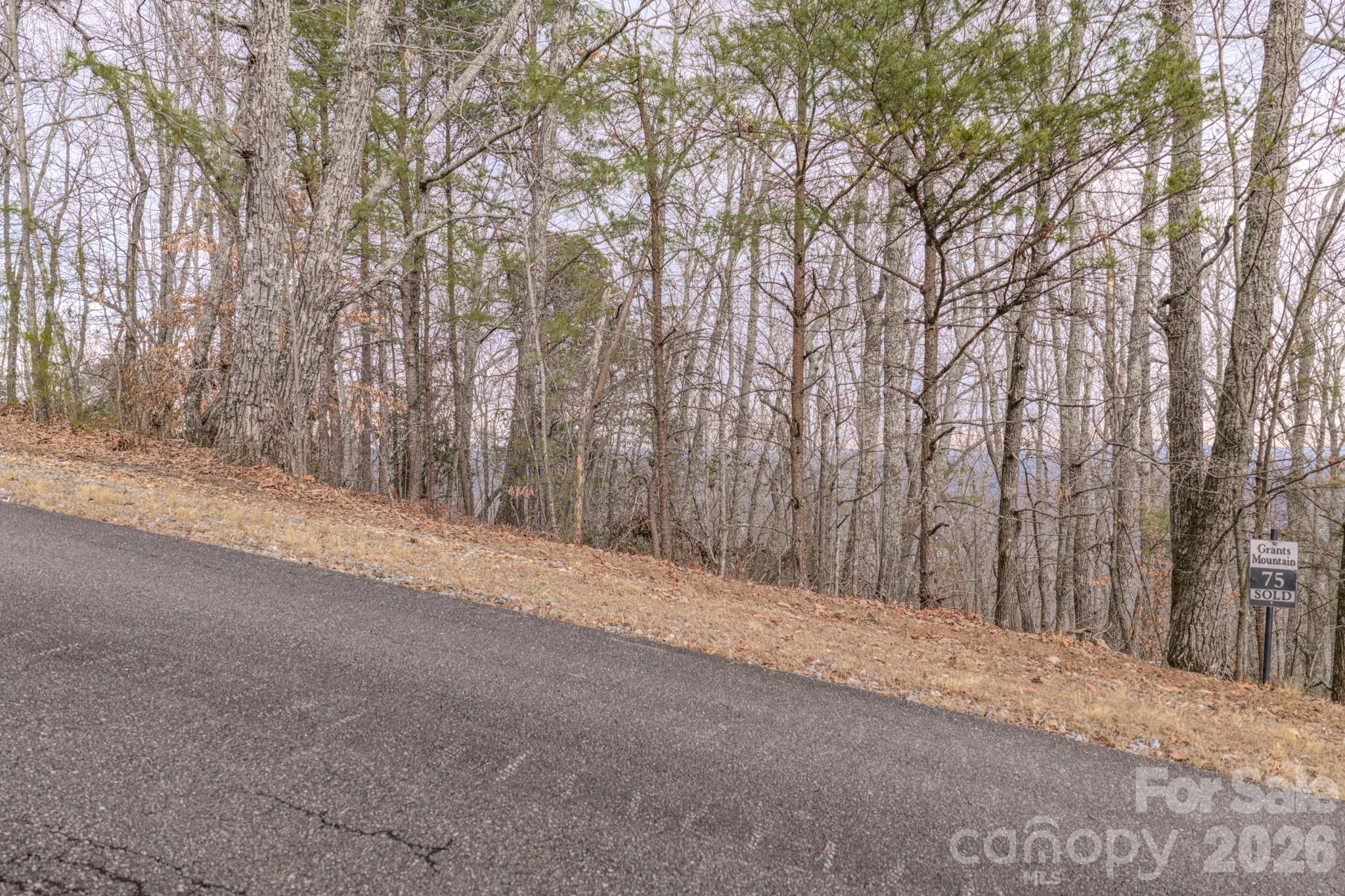 2724 Mountain Crest Drive S Marion NC 28752