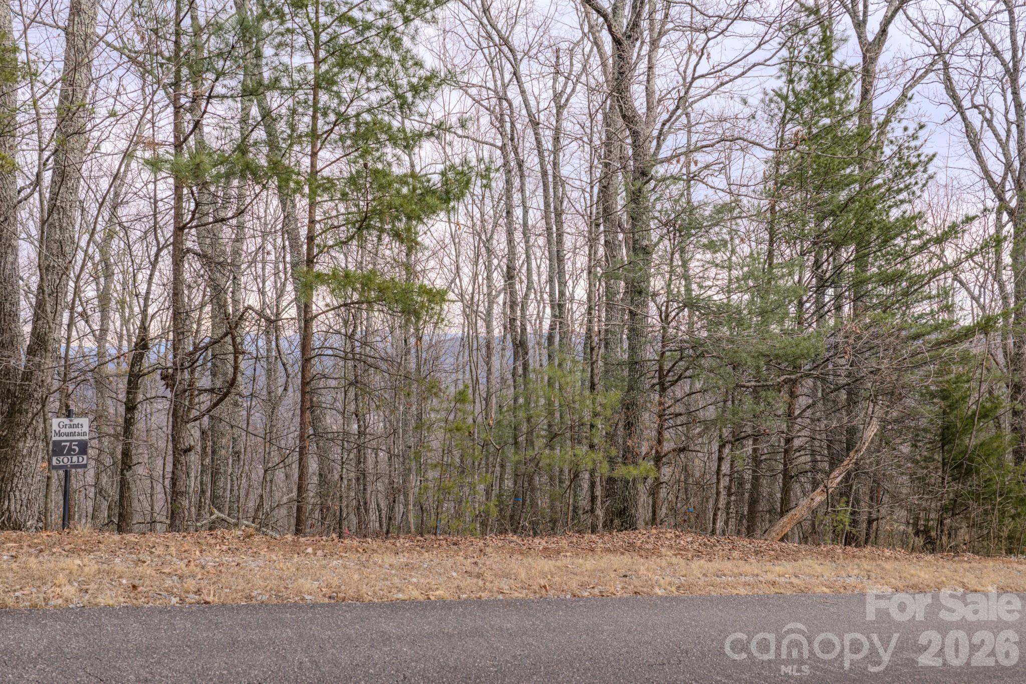 2724 Mountain Crest Drive S Marion NC 28752