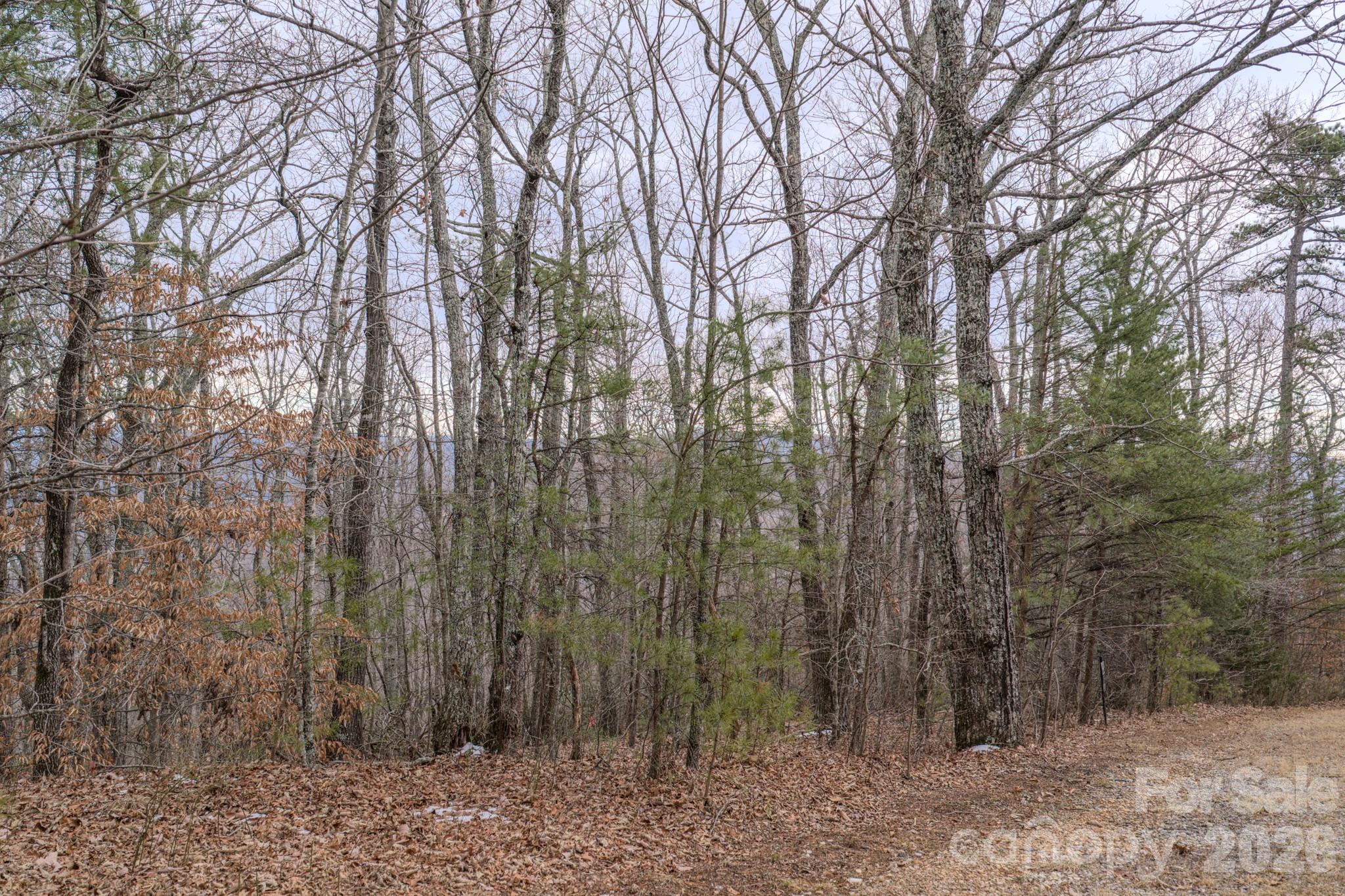 2724 Mountain Crest Drive S Marion NC 28752