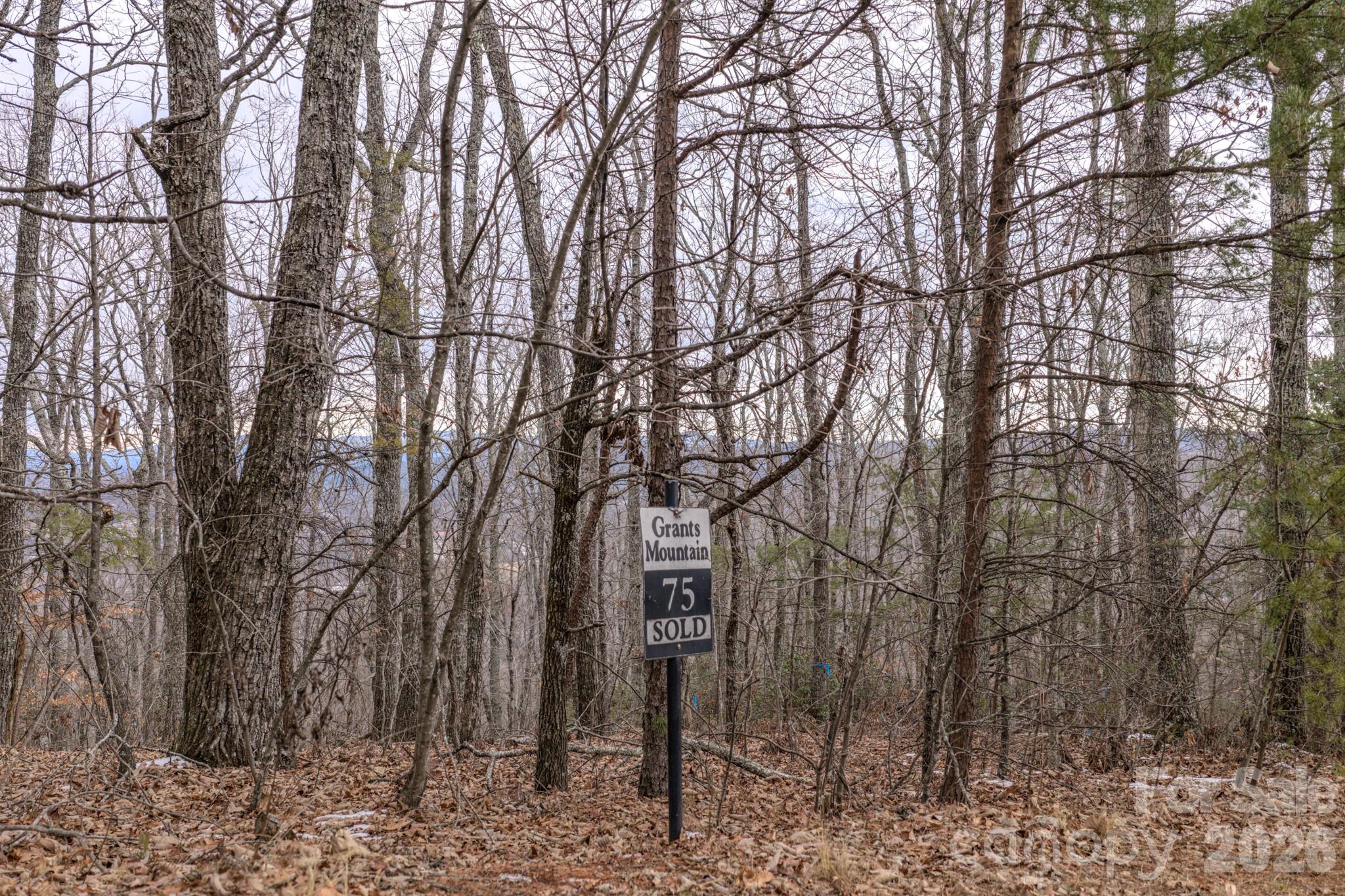 2724 Mountain Crest Drive S Marion NC 28752