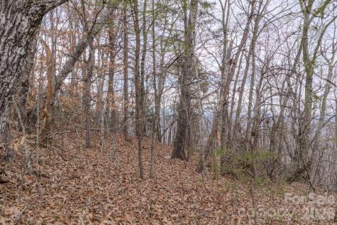 2724 Mountain Crest Drive S Marion NC 28752