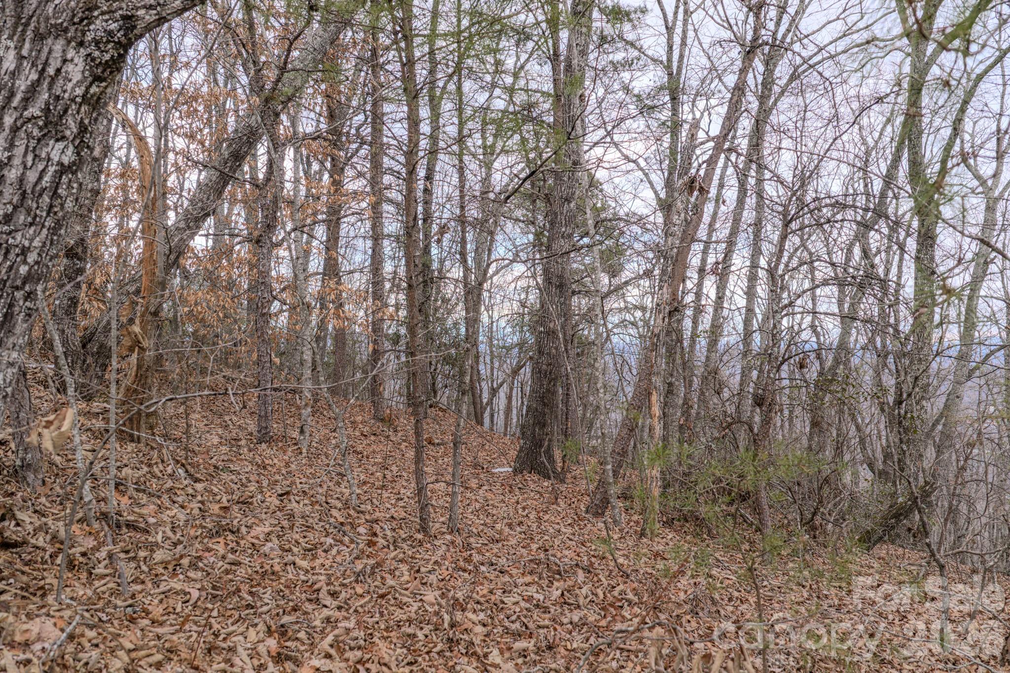 2724 Mountain Crest Drive S Marion NC 28752
