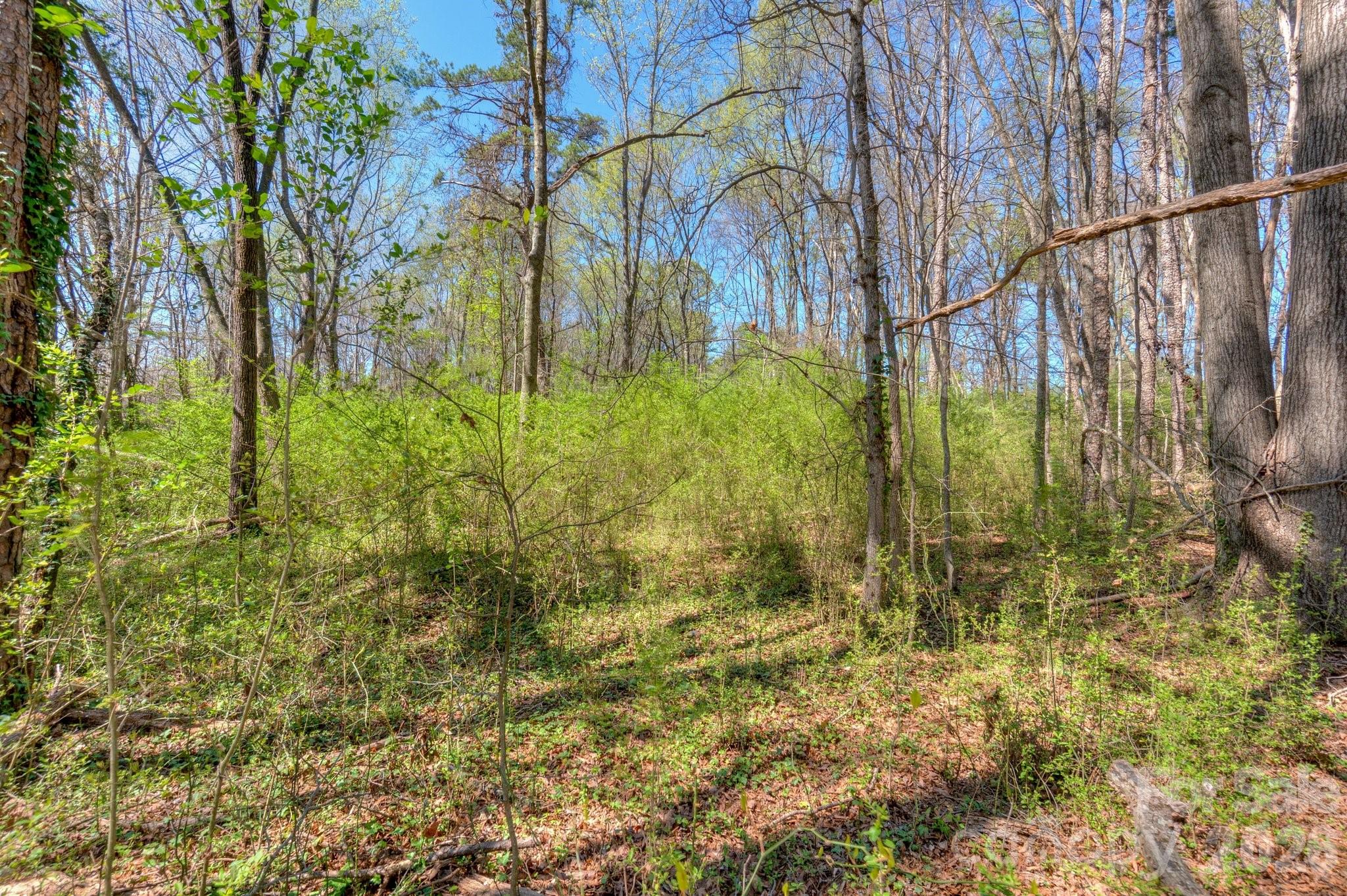 7714 Babe Stillwell Farm Road Huntersville NC 28078