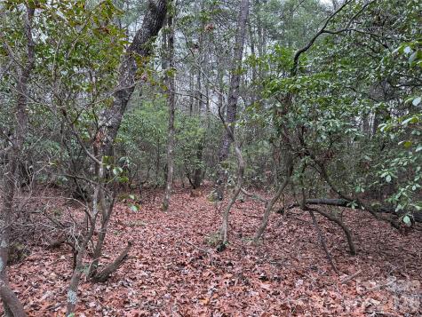 Tbd Deer Antler Drive Purlear NC 28665