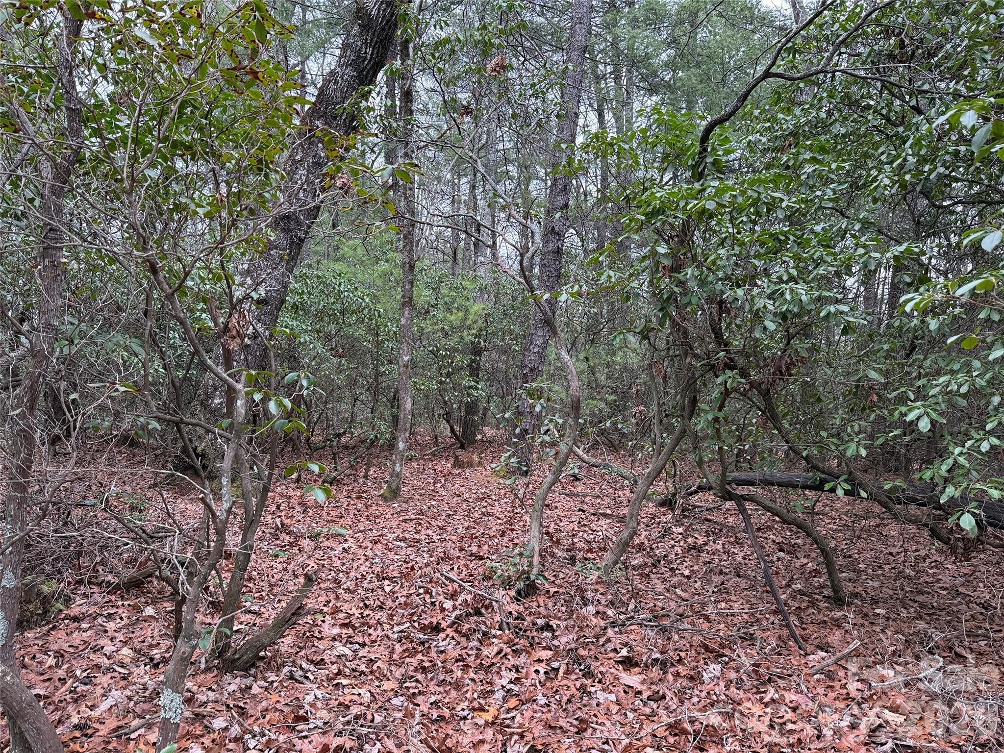 Tbd Deer Antler Drive Purlear NC 28665