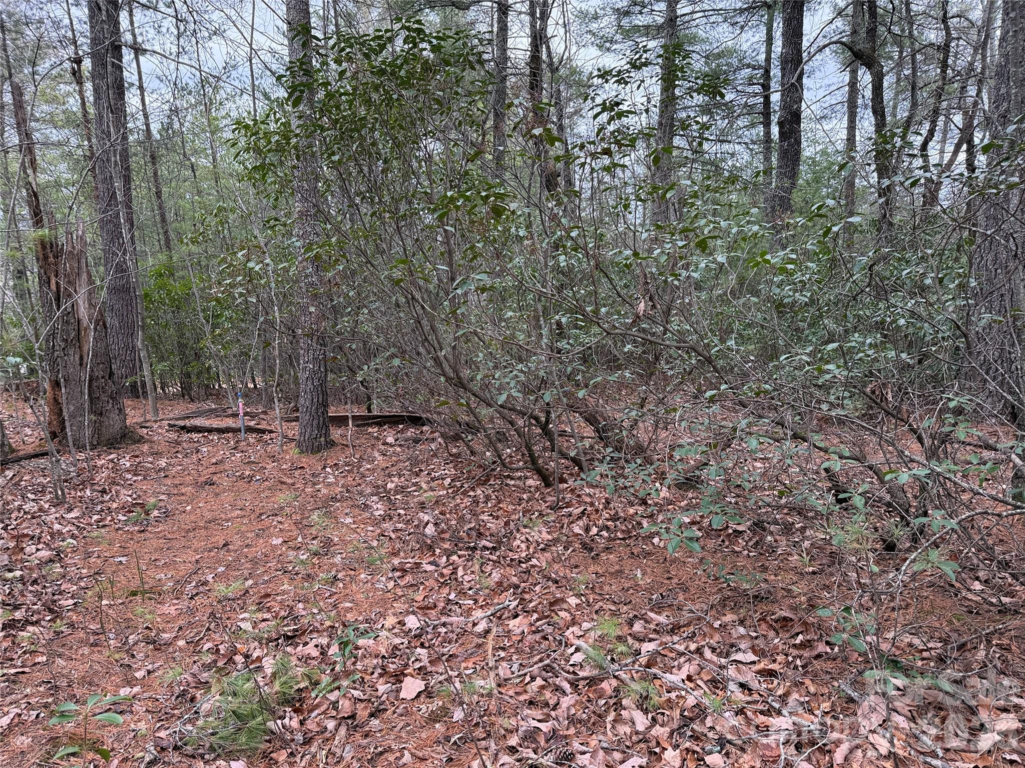 Tbd Deer Antler Drive Purlear NC 28665