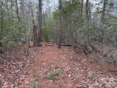 Tbd Deer Antler Drive Purlear NC 28665