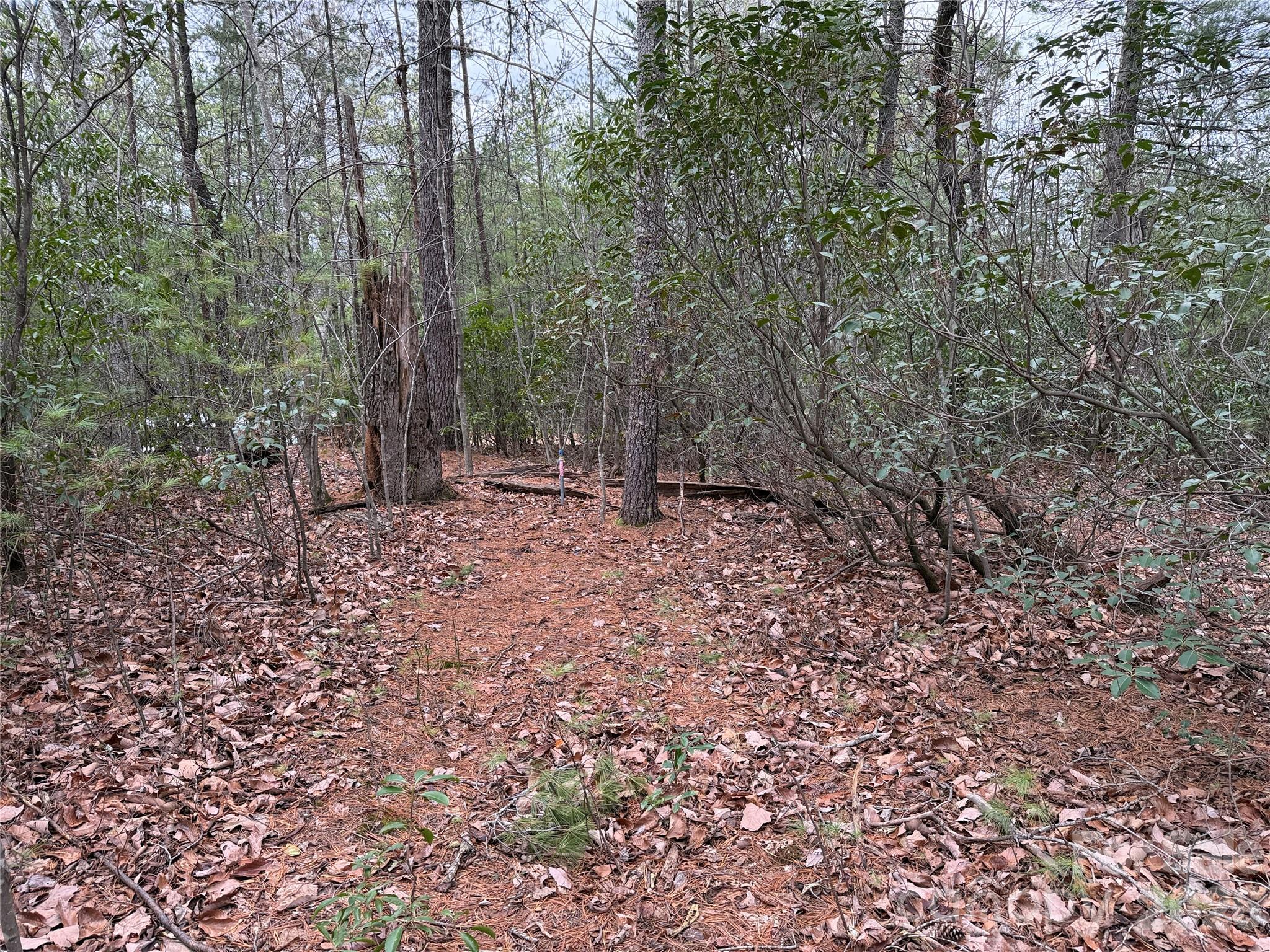 Tbd Deer Antler Drive Purlear NC 28665