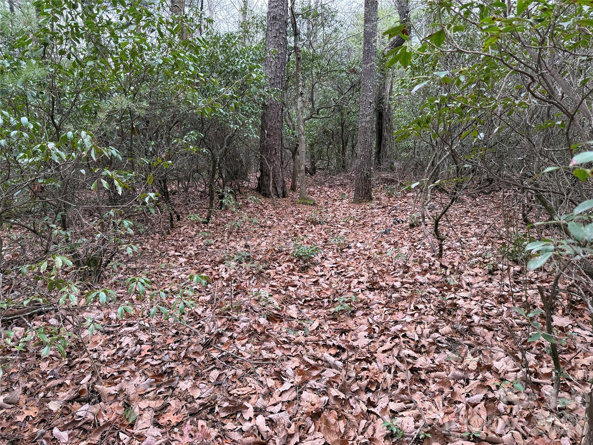 Tbd Deer Antler Drive Purlear NC 28665