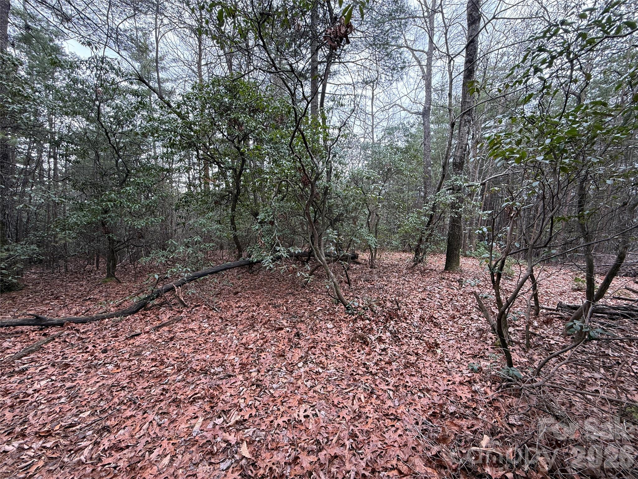 Tbd Deer Antler Drive Purlear NC 28665