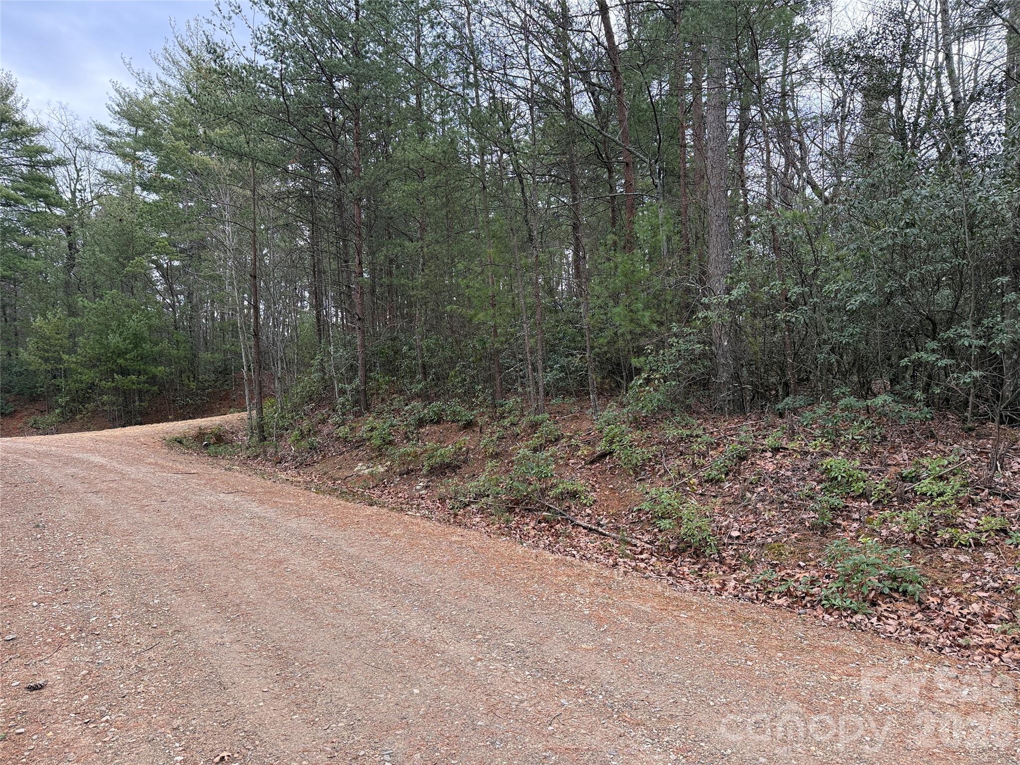 Tbd Deer Antler Drive Purlear NC 28665