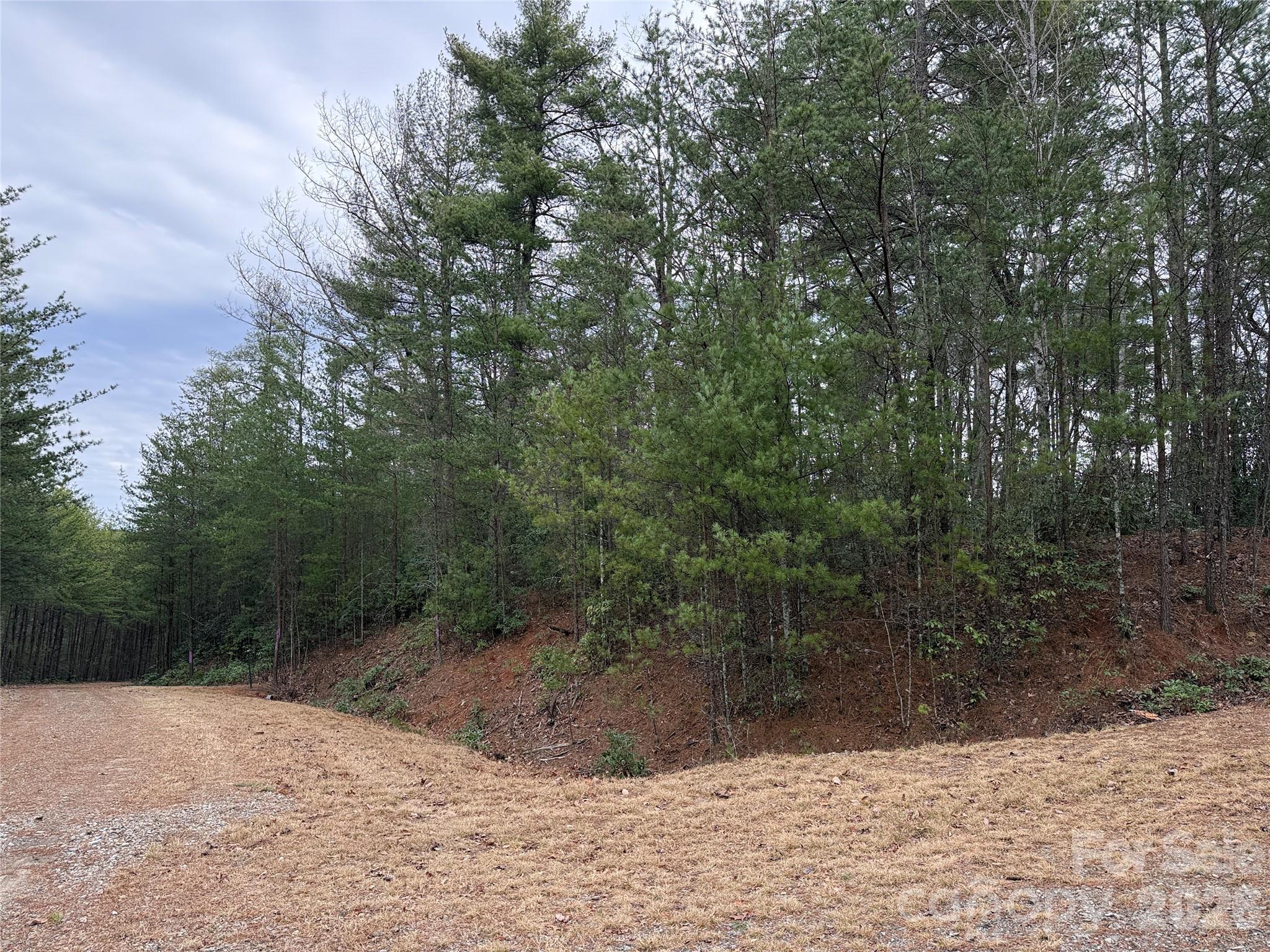 Tbd Deer Antler Drive Purlear NC 28665