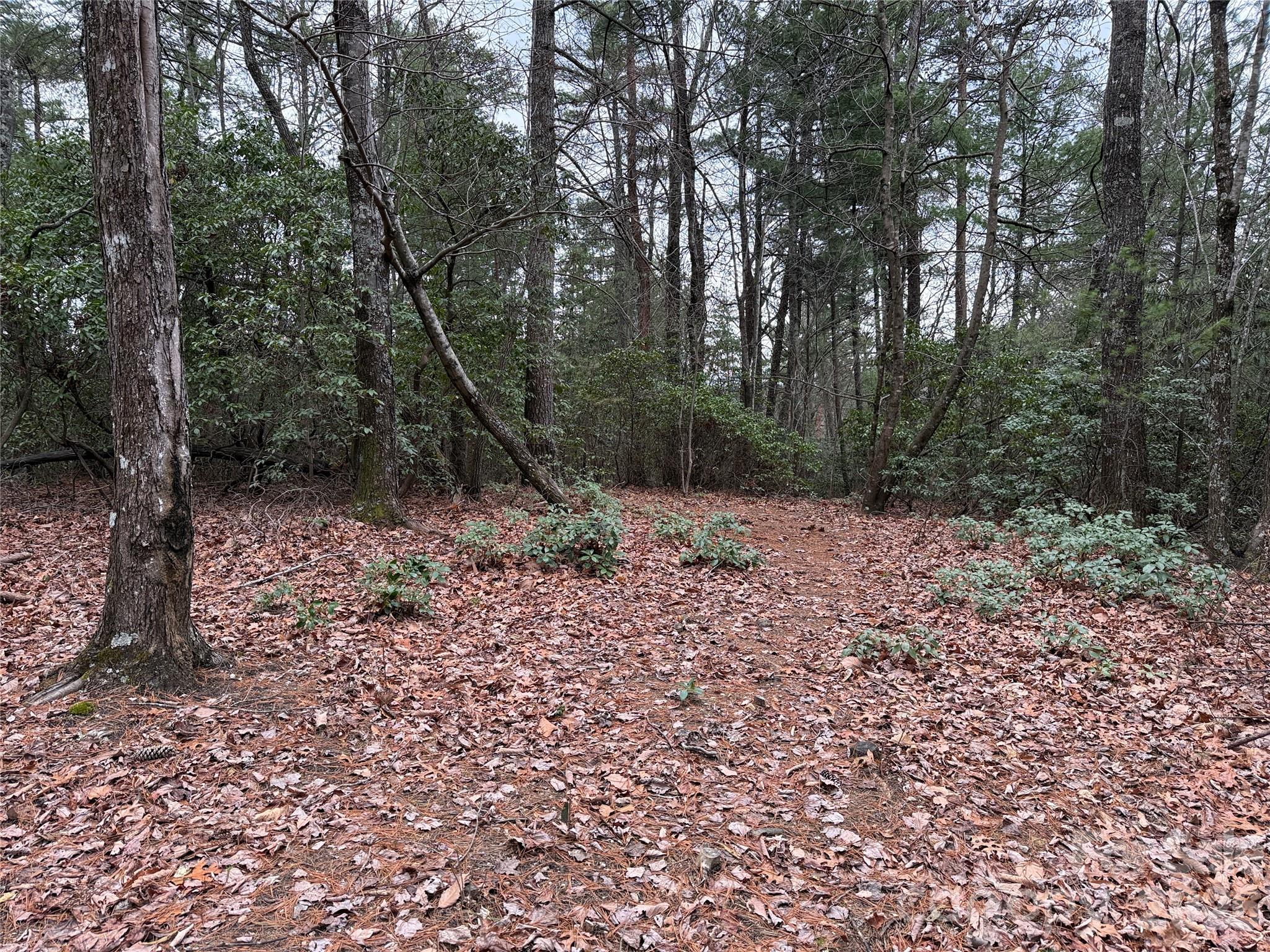 Tbd Deer Antler Drive Purlear NC 28665