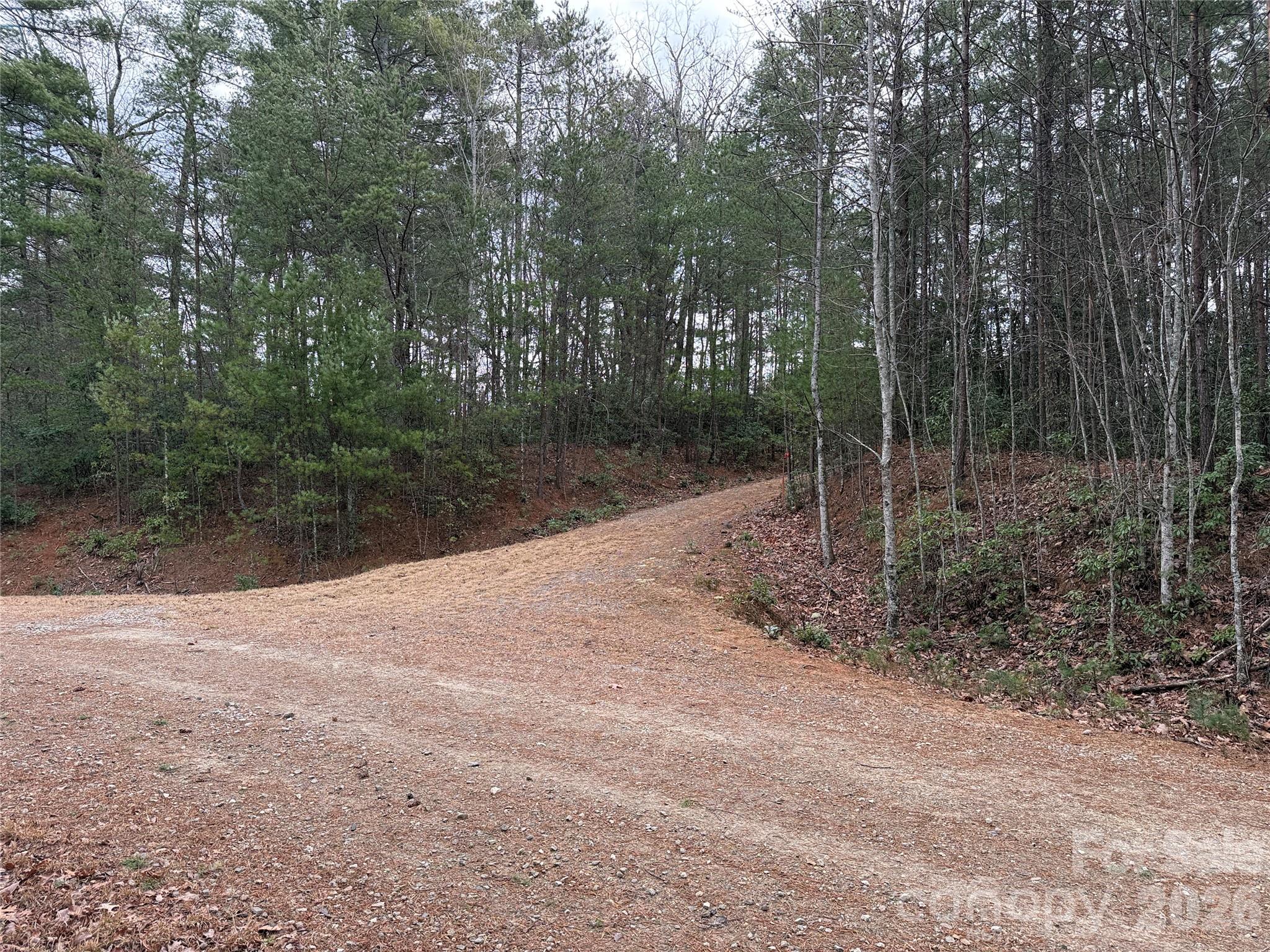 Tbd Deer Antler Drive Purlear NC 28665