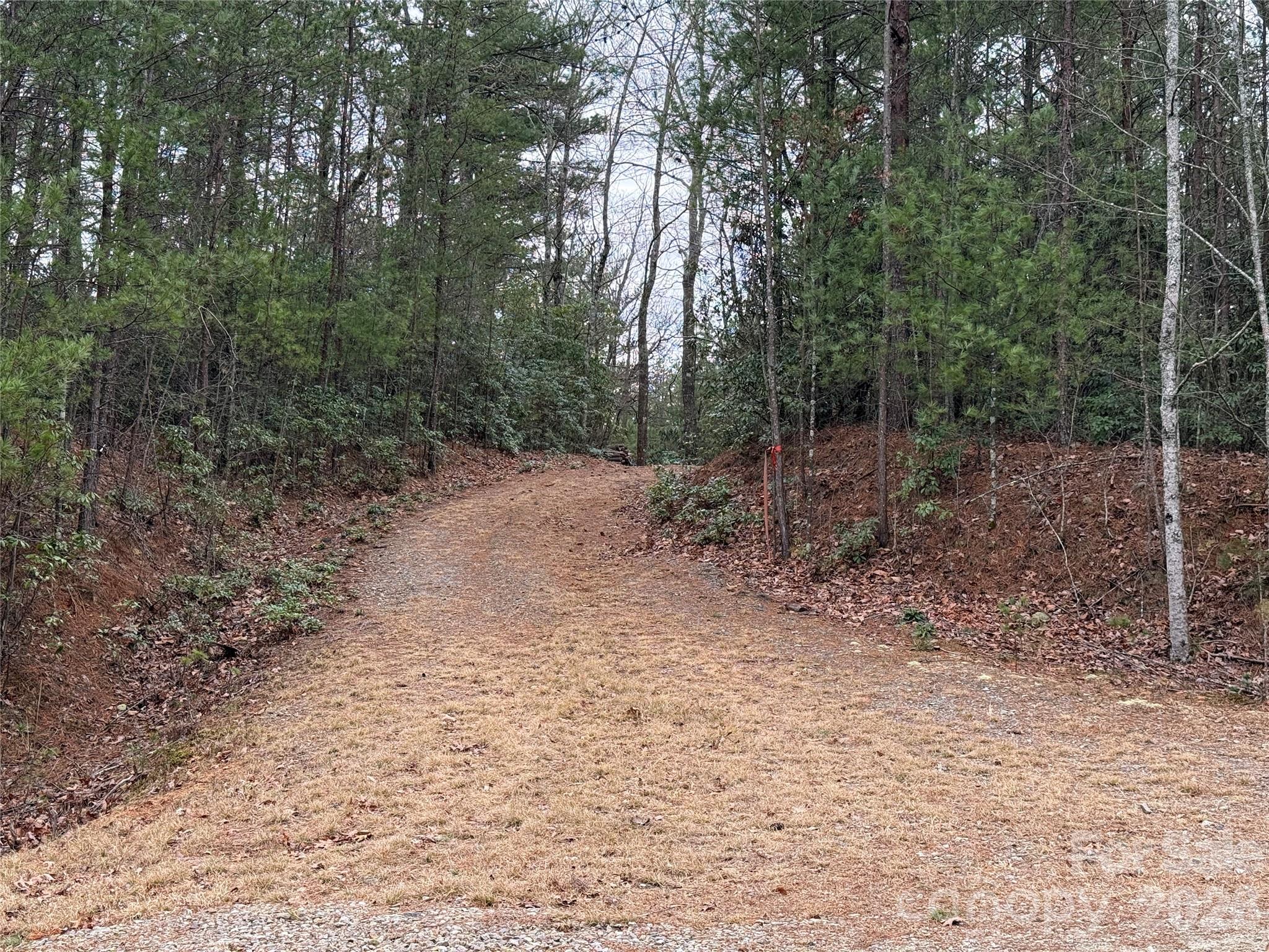Tbd Deer Antler Drive Purlear NC 28665