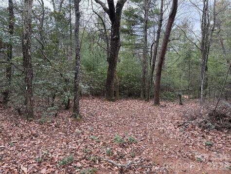 Tbd Deer Antler Drive Purlear NC 28665