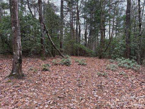 Tbd Deer Antler Drive Purlear NC 28665