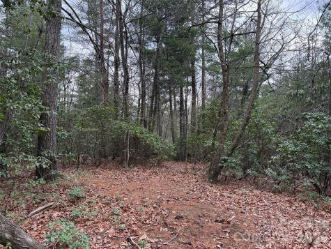 Tbd Deer Antler Drive Purlear NC 28665