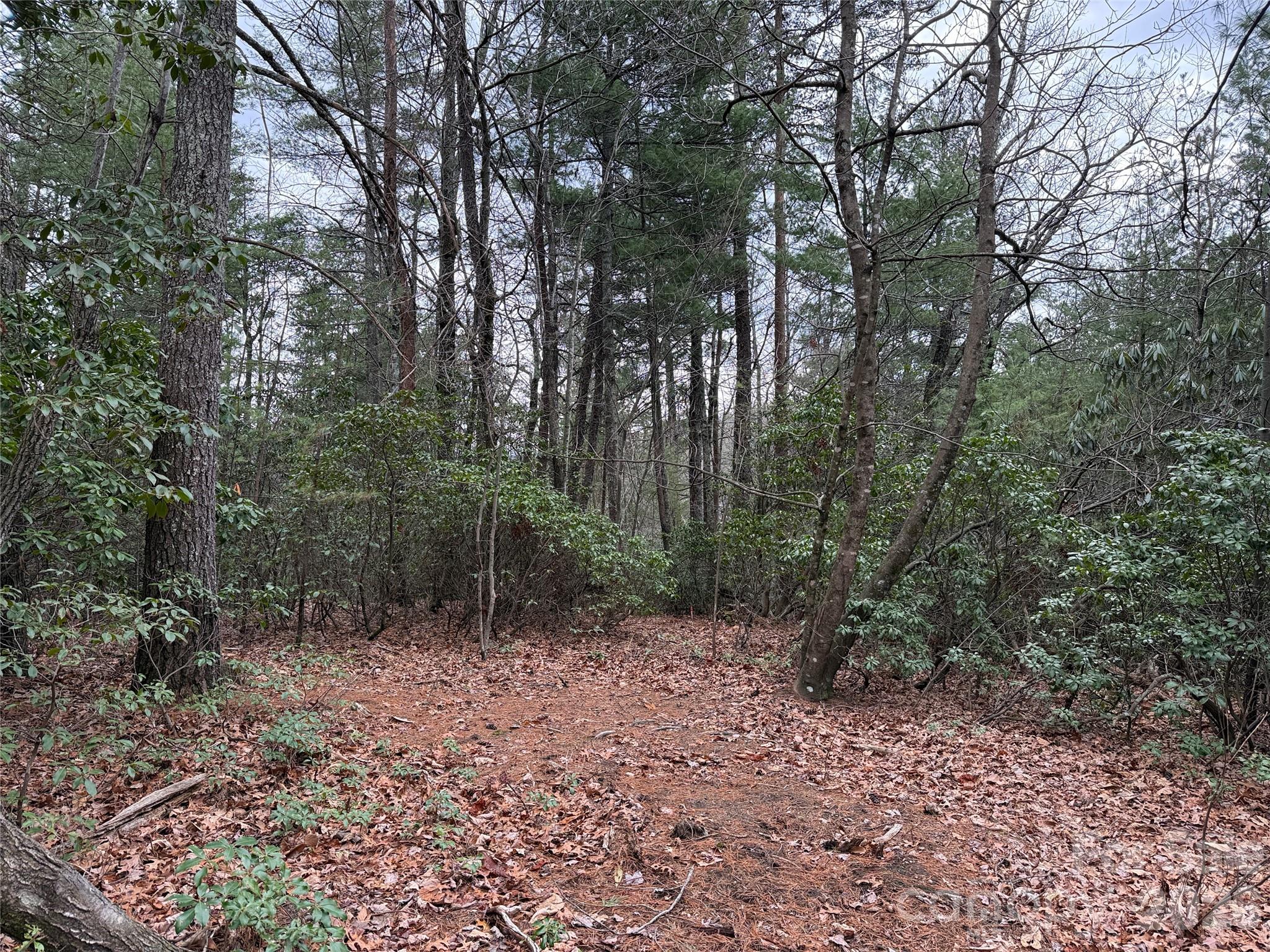 Tbd Deer Antler Drive Purlear NC 28665