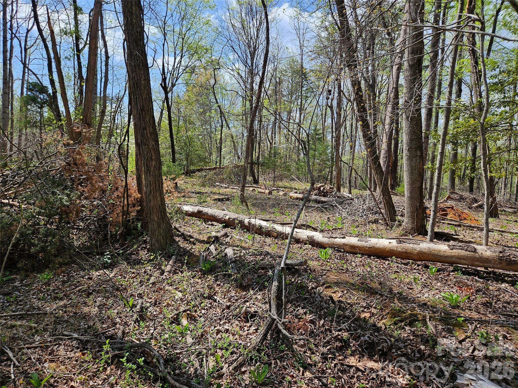 0 Whitney Boulevard Lake Lure NC 28746