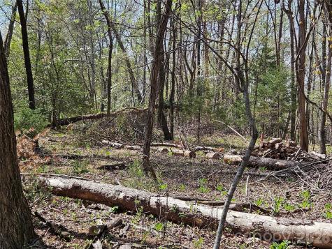 0 Whitney Boulevard Lake Lure NC 28746
