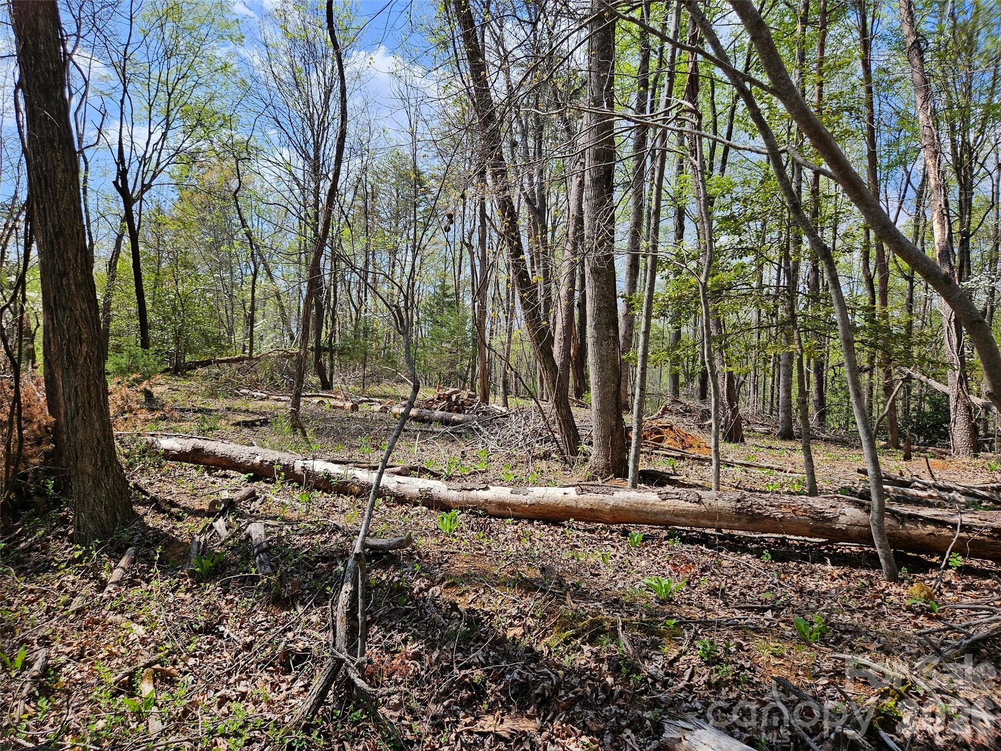 0 Whitney Boulevard Lake Lure NC 28746