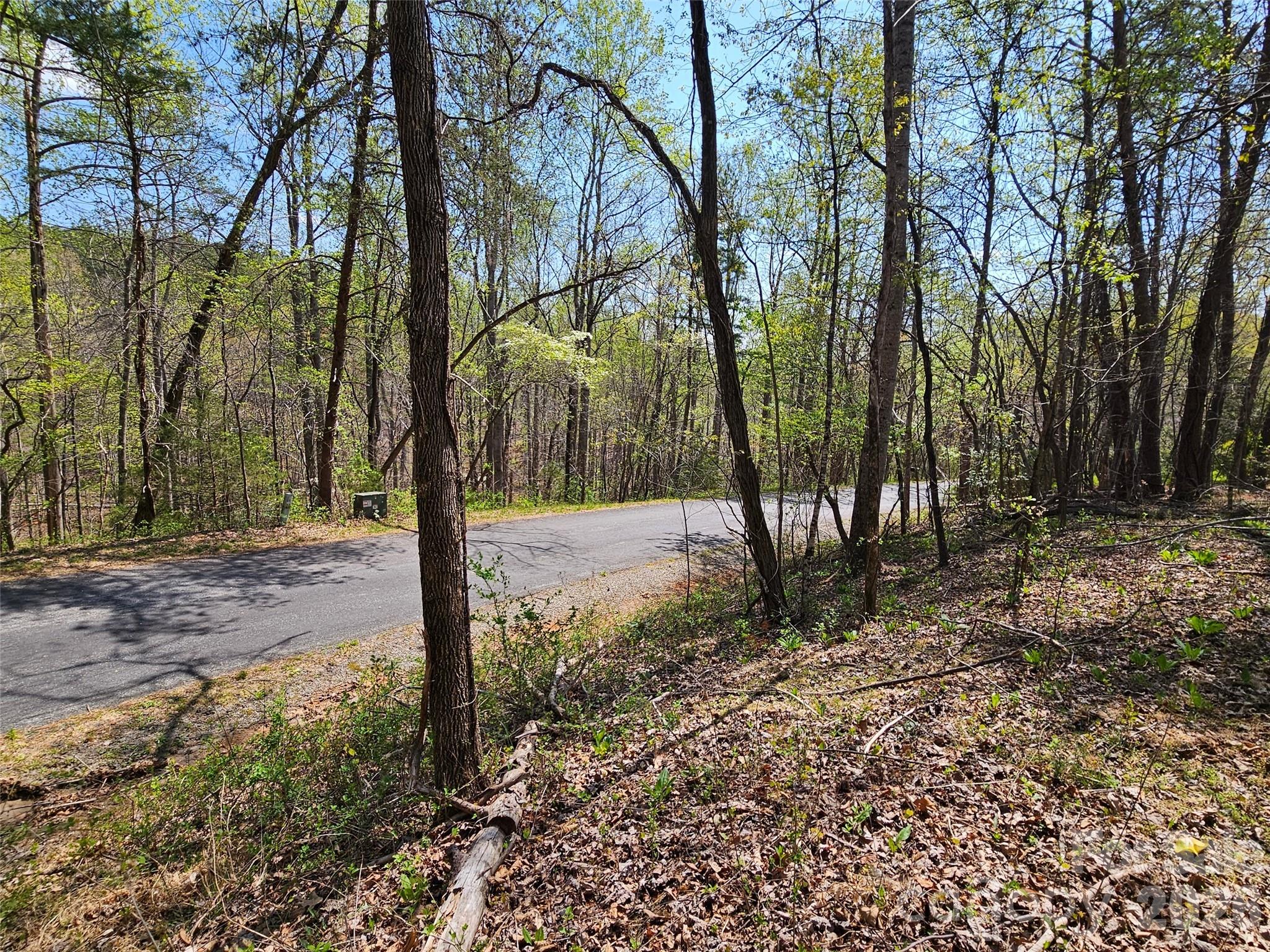 0 Whitney Boulevard Lake Lure NC 28746