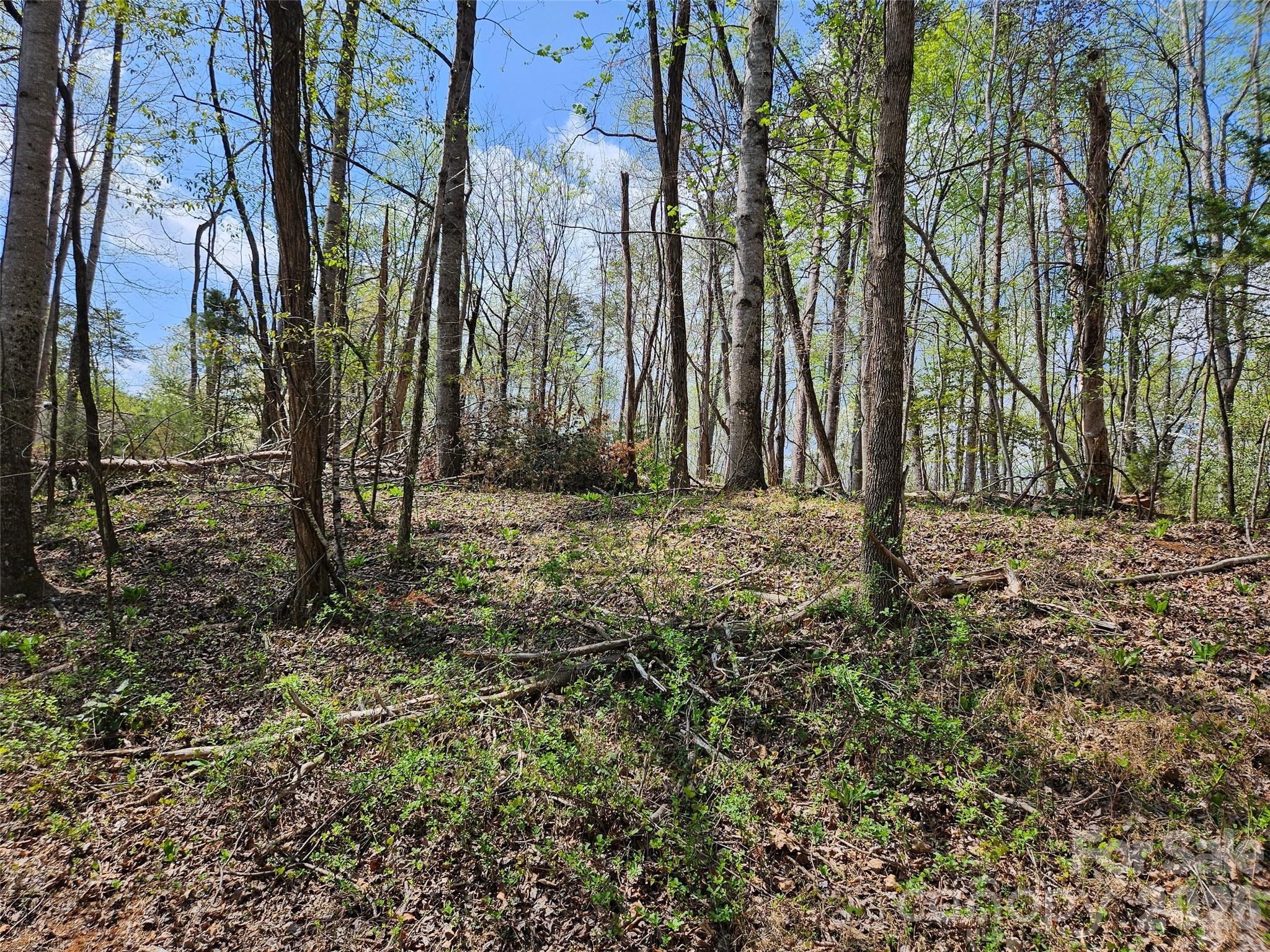 0 Whitney Boulevard Lake Lure NC 28746