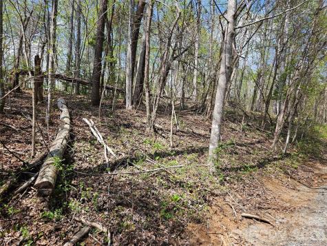 0 Whitney Boulevard Lake Lure NC 28746