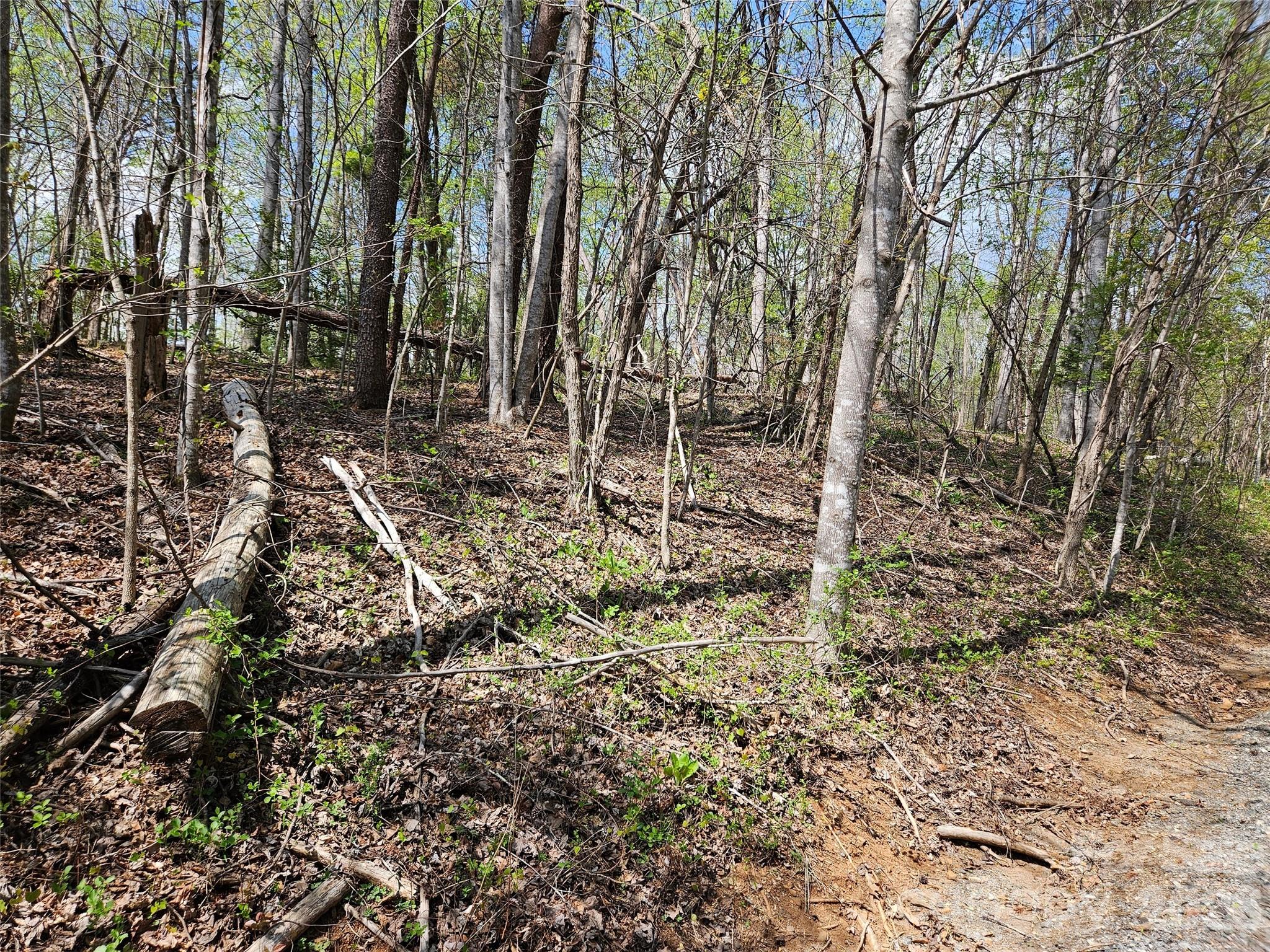 0 Whitney Boulevard Lake Lure NC 28746