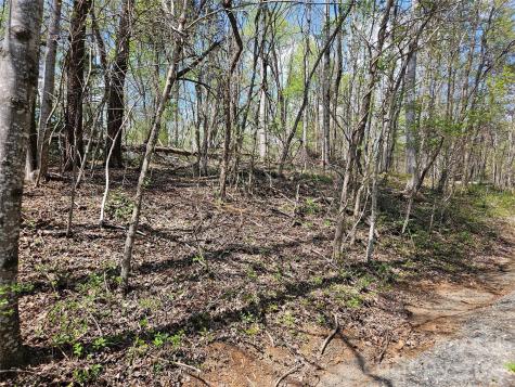 0 Whitney Boulevard Lake Lure NC 28746
