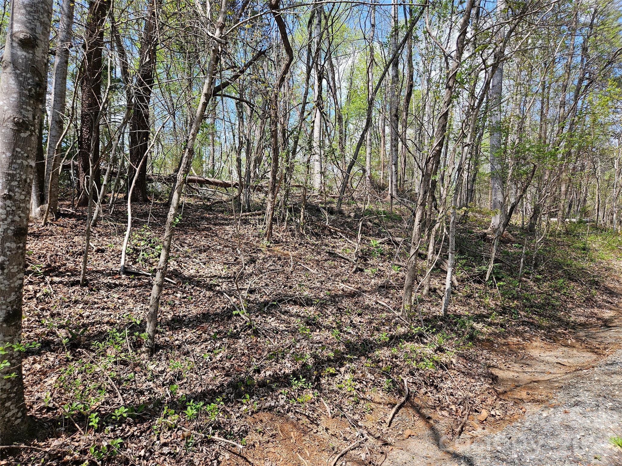 0 Whitney Boulevard Lake Lure NC 28746