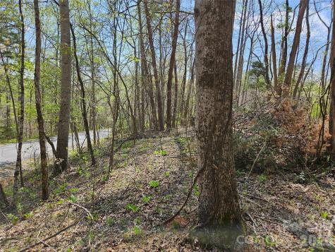 0 Whitney Boulevard Lake Lure NC 28746