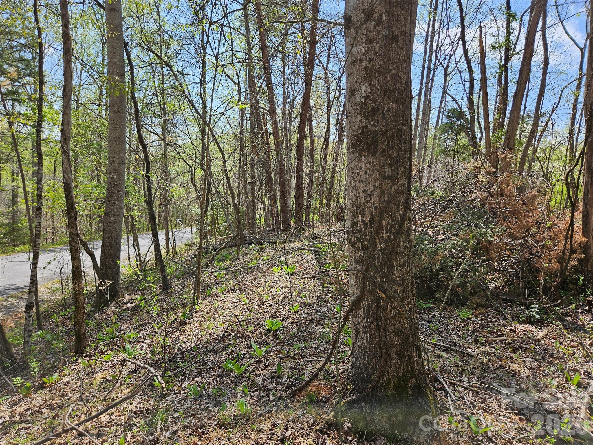 0 Whitney Boulevard Lake Lure NC 28746