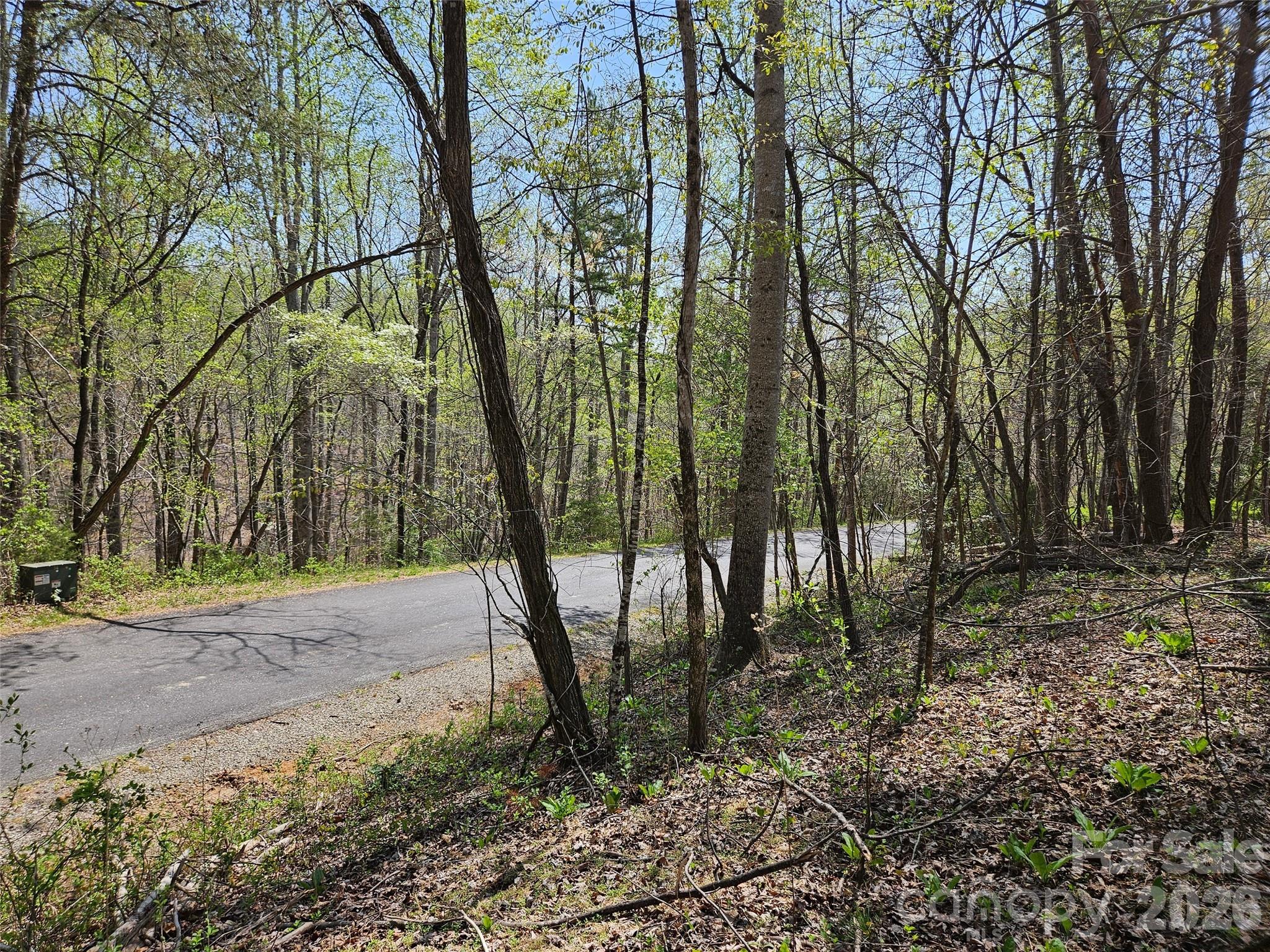 0 Whitney Boulevard Lake Lure NC 28746