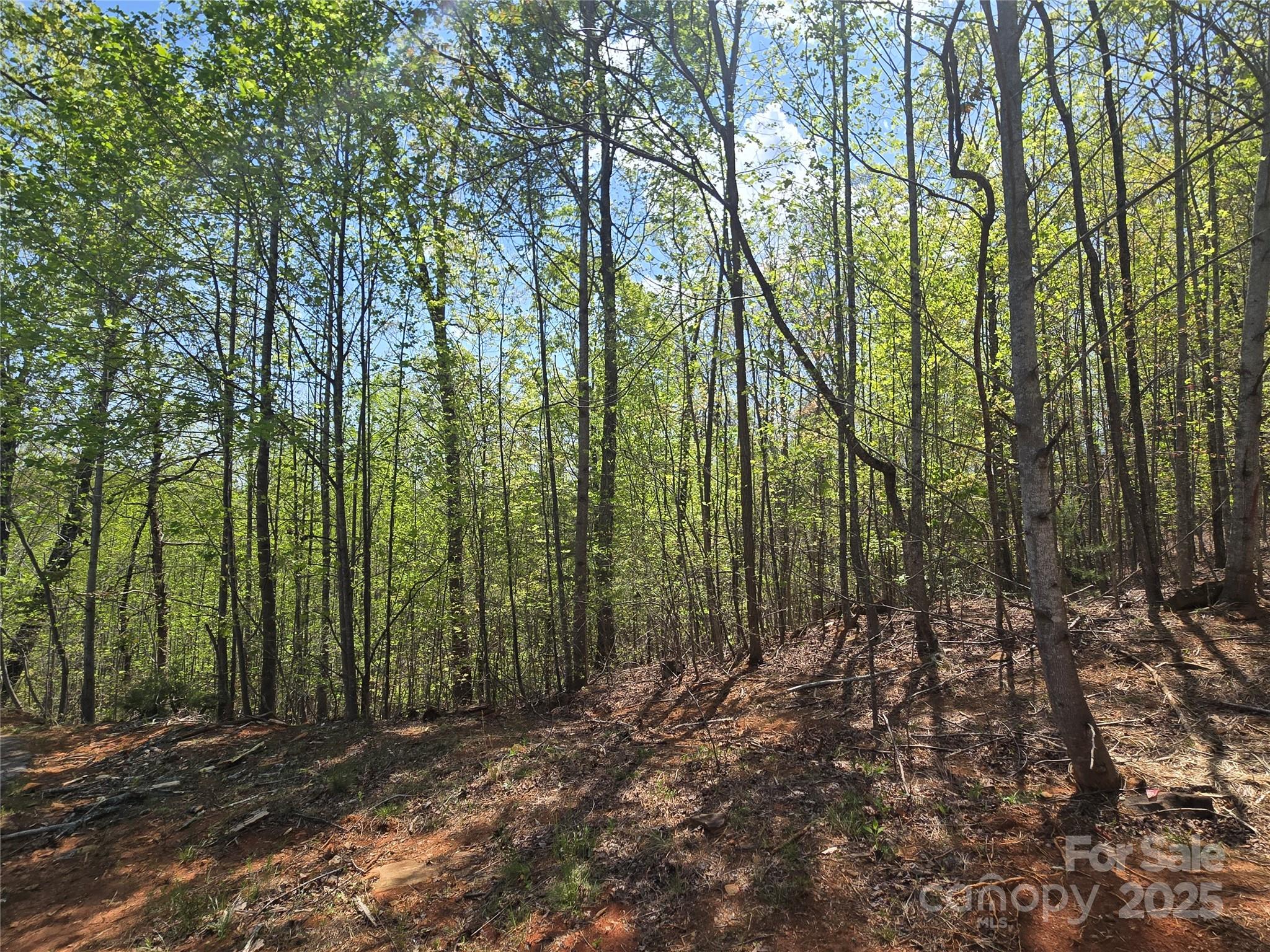 Lot 20 Touch Me Not Trail Lake Lure NC 28746