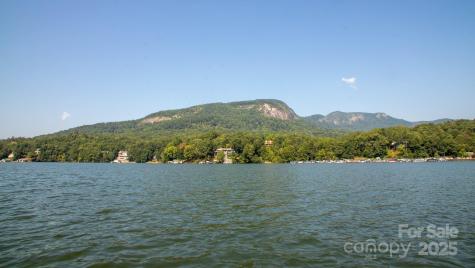 Lot 20 Touch Me Not Trail Lake Lure NC 28746