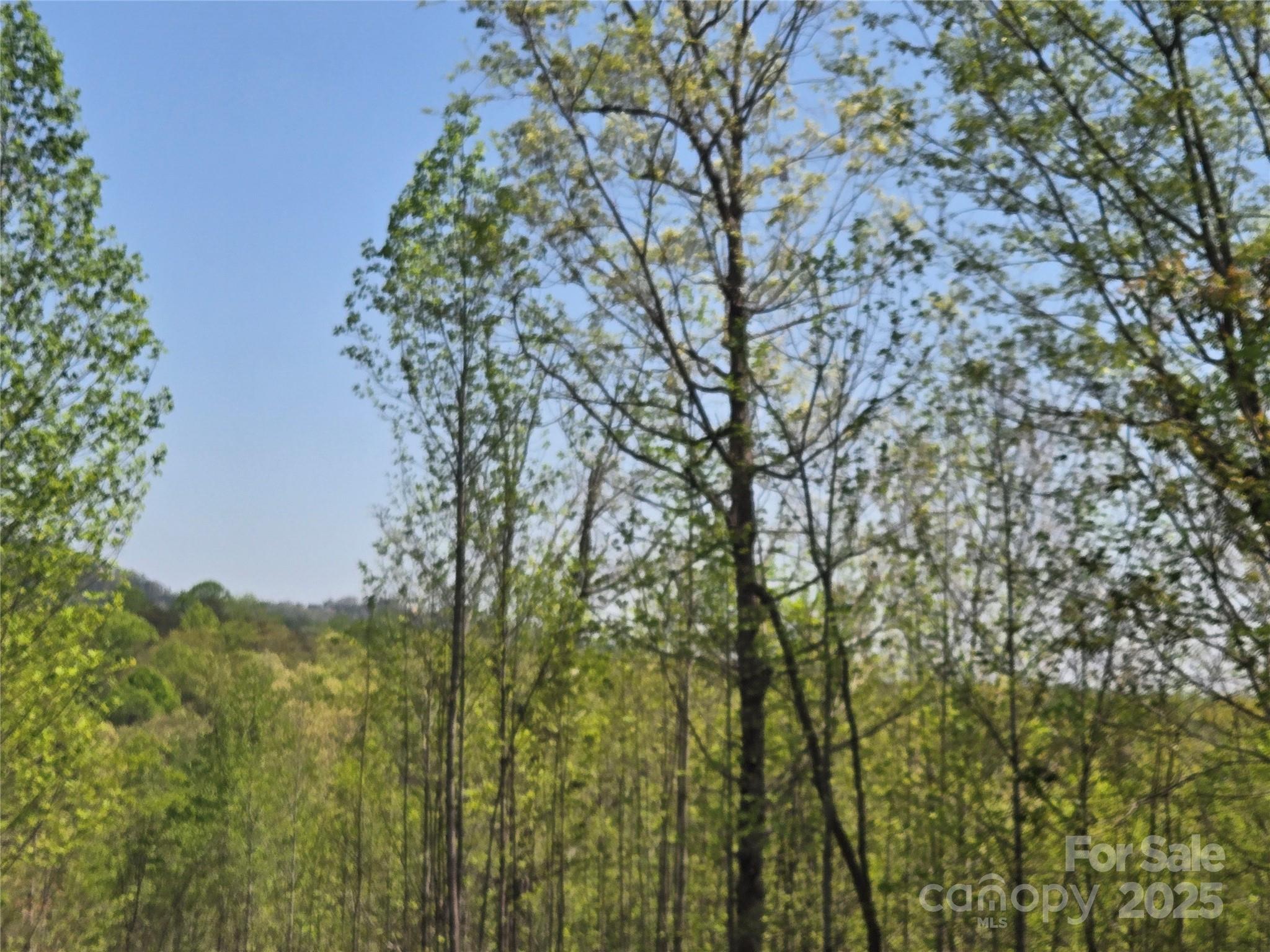 Lot 20 Touch Me Not Trail Lake Lure NC 28746