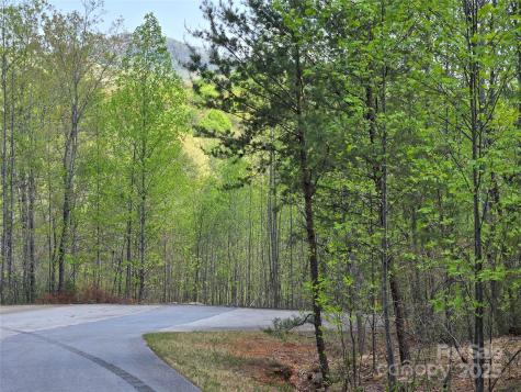 Lot 20 Touch Me Not Trail Lake Lure NC 28746