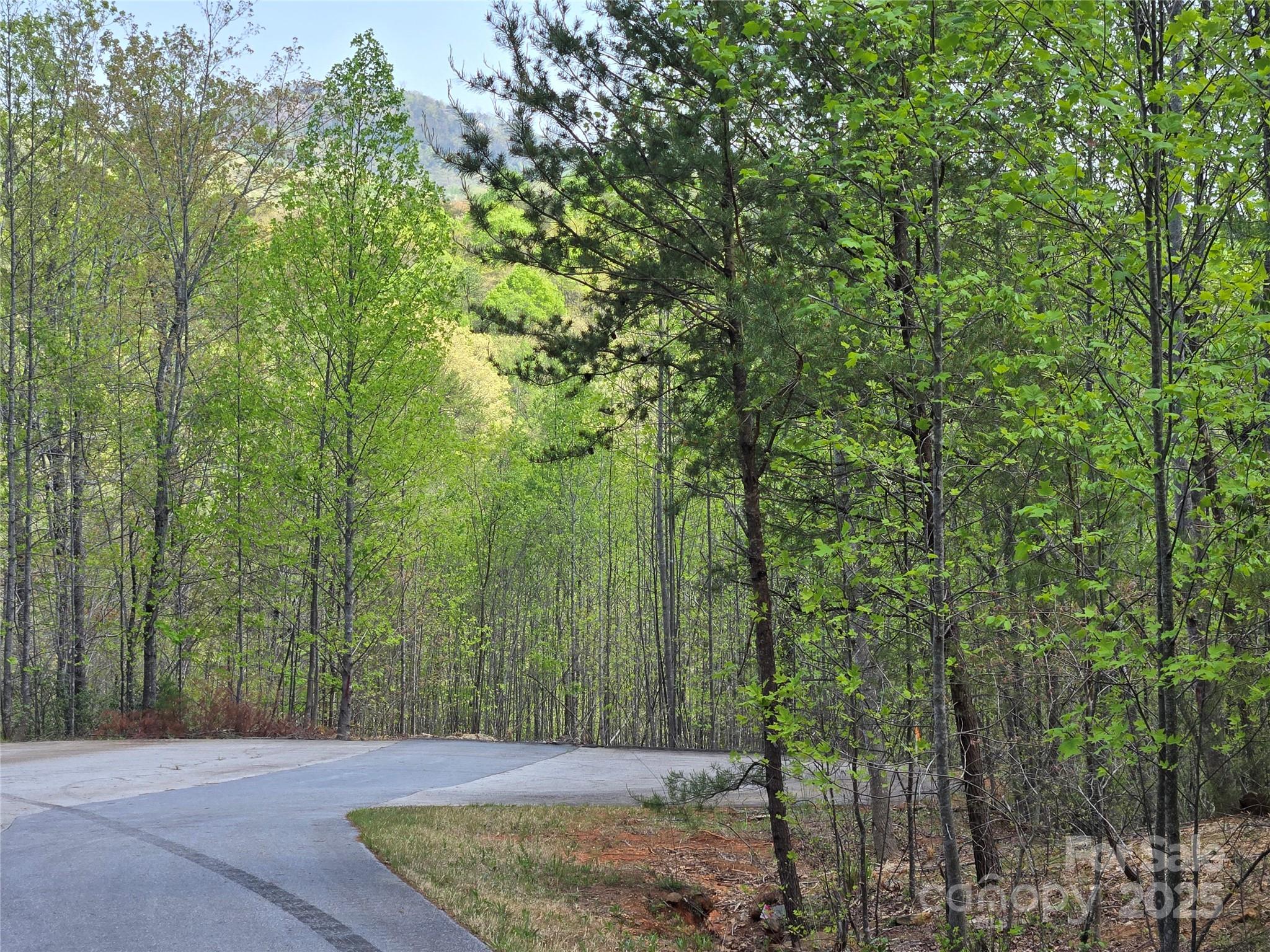Lot 20 Touch Me Not Trail Lake Lure NC 28746